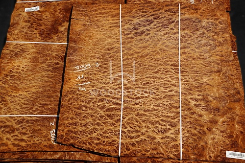 Натуральный шпон Вавона корень Натуральный шпон Вавона корень