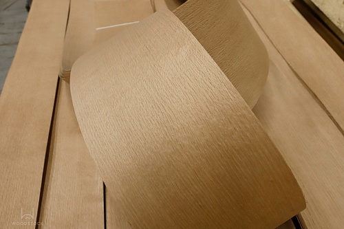 Дуб 13.003 Дуб 13.003