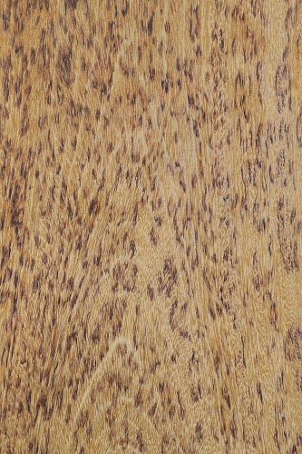 Натуральный шпон Череджейра пинтада Натуральный шпон Череджейра пинтада
