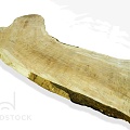 Слэбы Клён