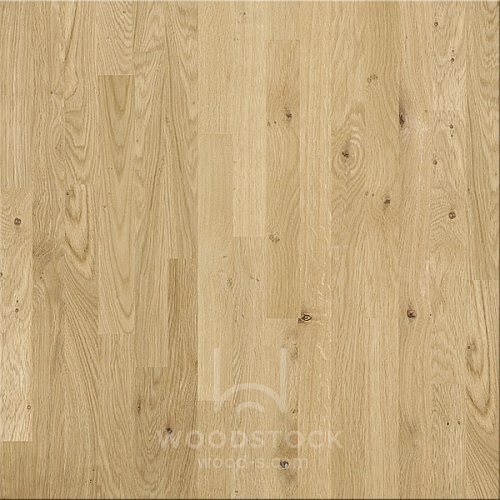 Мебельный щит из дуба cращенный  С/С 40х700х3000 Мебельный щит из дуба cращенный  С/С 40х700х3000