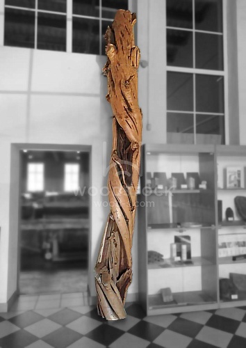 Другие формы Можжевельник [Juniper]