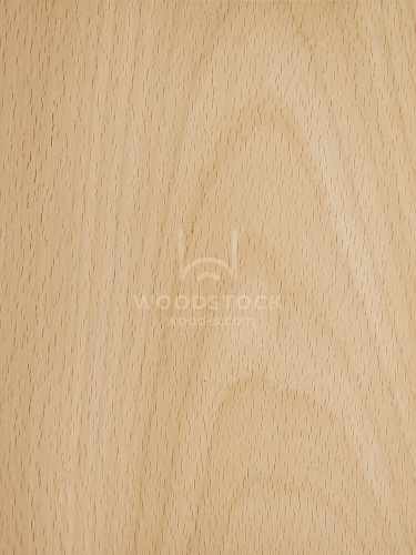 Натуральный шпон Бук