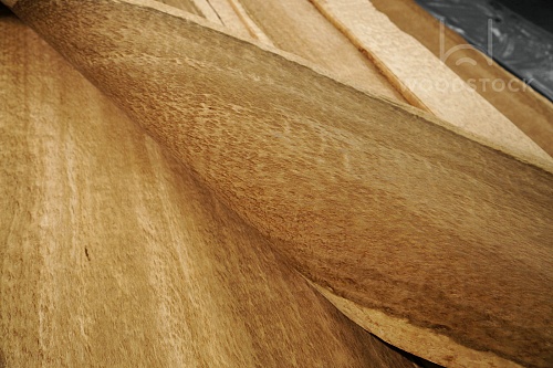 Натуральный шпон Эвкалипт поммеле Натуральный шпон Эвкалипт поммеле