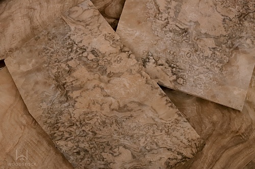 Натуральный шпон Орех европейский корень