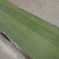 Обои SKEENS SK11 Bolivar MOSS GREEN