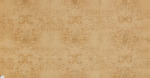 Сращенный шпон Каштан корень Сращенный шпон Каштан корень