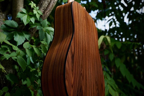 Другие формы Гитарная заготовка Pau Ferro