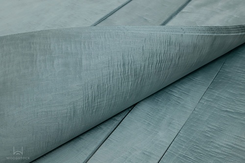 Клён Сикомора 09.S.013 Клён Сикомора 09.S.013