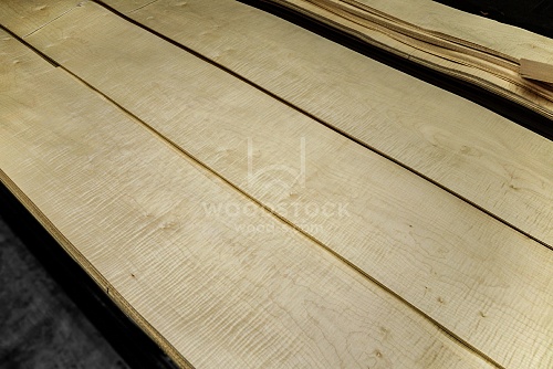 Натуральный шпон Сикоморо FRISSE Натуральный шпон Сикоморо FRISSE