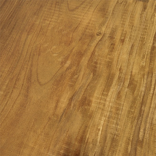 Парота, слэб Парота, слэб