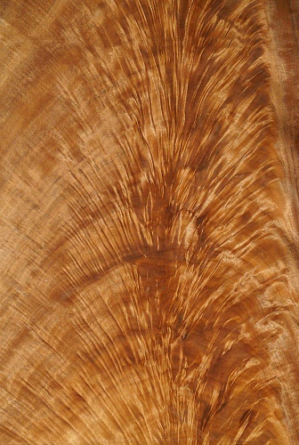 Натуральный шпон Макоре «пирамида» Натуральный шпон Макоре «пирамида»