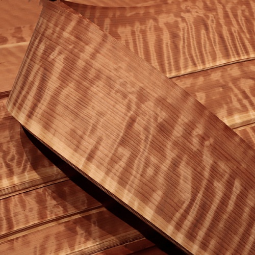 Натуральный шпон Секвойя FRISSE Натуральный шпон Секвойя FRISSE