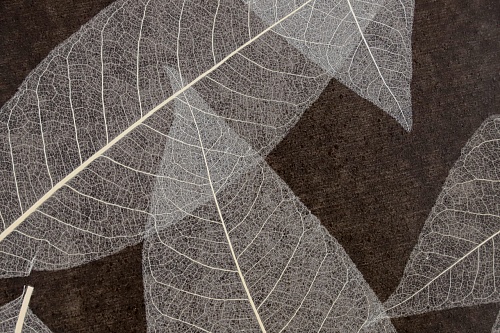 Экополотно Листья Гевеи Flexi