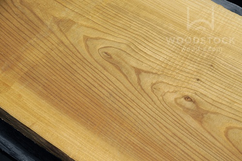 Карагач (Ильм) Карагач (Ильм)