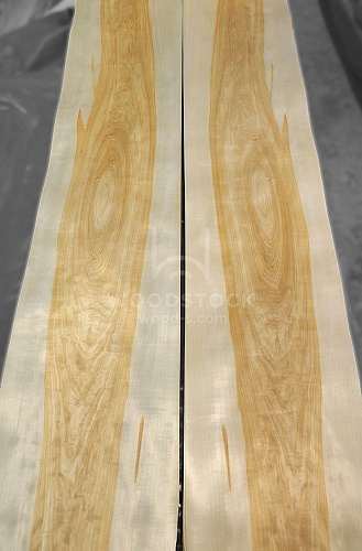 Натуральный шпон Грисард Натуральный шпон Грисард