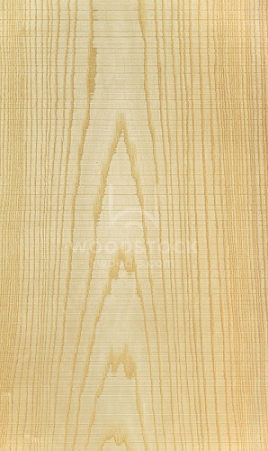 Натуральный шпон Ясень белый 3D Натуральный шпон Ясень белый 3D