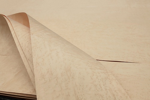 Натуральный шпон Клён «птичий глаз»