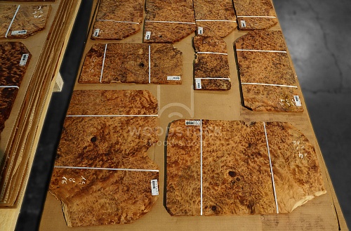 Натуральный шпон Туя корень Натуральный шпон Туя корень