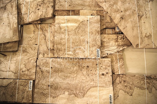 Натуральный шпон Ясень оливковый корень Натуральный шпон Ясень оливковый корень