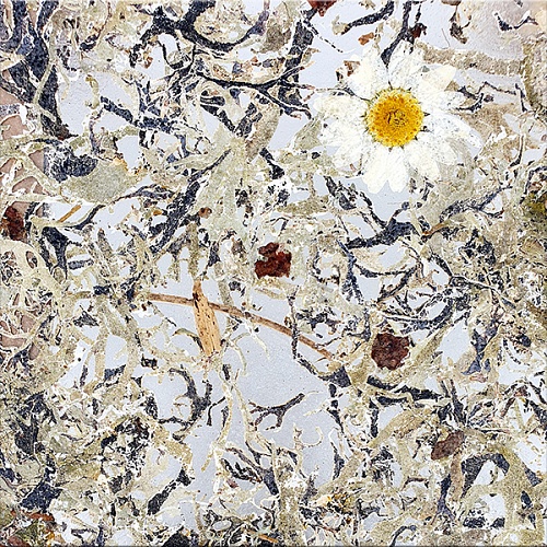 Экополотно ORGANOID Дикий Ягель Маргарита Экополотно ORGANOID Дикий Ягель Маргарита