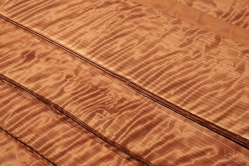 Натуральный шпон Секвойя FRISSE Натуральный шпон Секвойя FRISSE