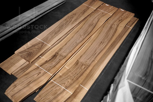 Орех Европейский Colored Орех Европейский Colored