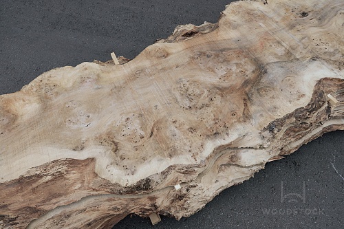 Пиломатериалы Тополь корень, слэб