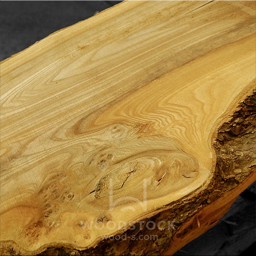 Карагач (Ильм) Карагач (Ильм)