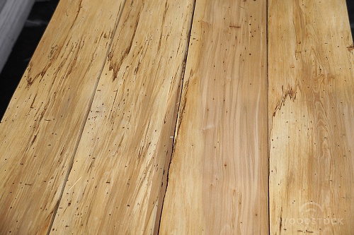 Натуральный шпон Бук ЭКО