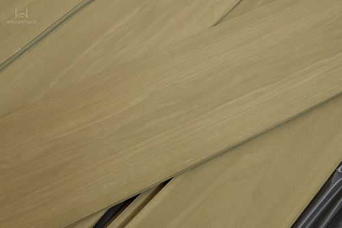 Тополь 52.072 Тополь 52.072