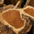 Амбойна корень