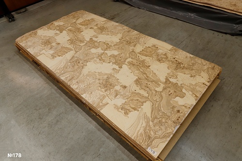 Сращенный шпон Ясень оливковый корень intarsio