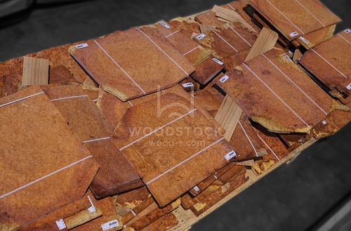 Натуральный шпон Амбойна корень Натуральный шпон Амбойна корень