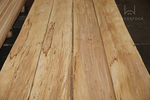 Натуральный шпон Бук ЭКО