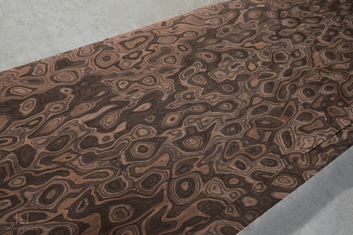 Коллекция ESPRESSO Мультишпон 700V Коллекция ESPRESSO Мультишпон 700V