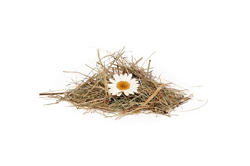 Экополотно ORGANOID Альпийские луга Маргарита Экополотно ORGANOID Альпийские луга Маргарита