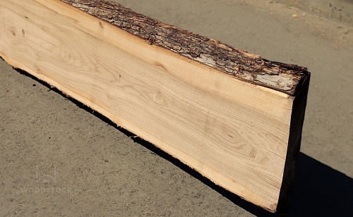 Карагач необрезная доска Карагач необрезная доска
