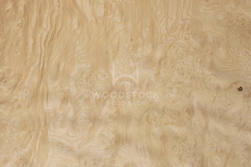 Натуральный шпон Ясень белый корень Натуральный шпон Ясень белый корень