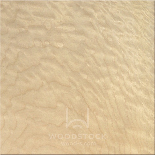 Клен Quilted Клен Quilted