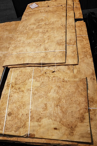 Натуральный шпон Дуб корень Натуральный шпон Дуб корень