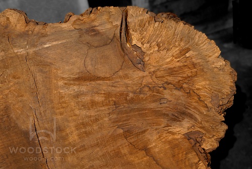 Слэбы Орех 1000x1200 мм