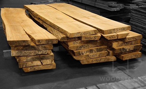 Карагач (Ильм) Карагач (Ильм)