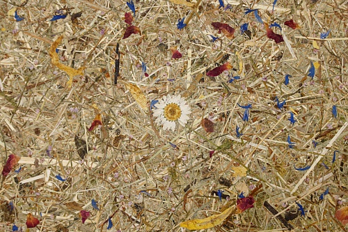 Экополотно Красочный Тироль