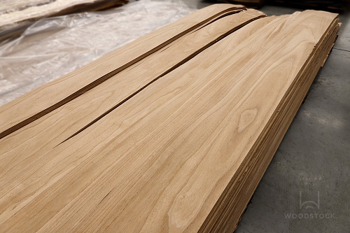 Павловния Павловния