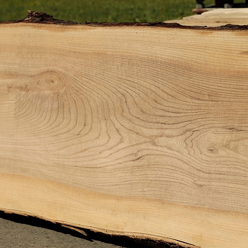 Карагач необрезная доска Карагач необрезная доска