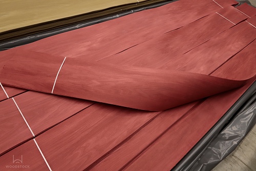 Тополь 52.095 Тополь 52.095