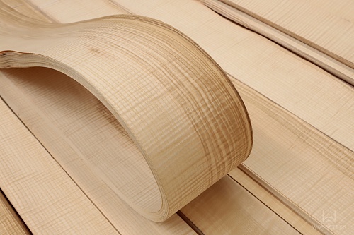 Ясень Оливковый Frisse Ясень Оливковый Frisse