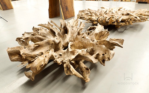 Тик корень Тик корень