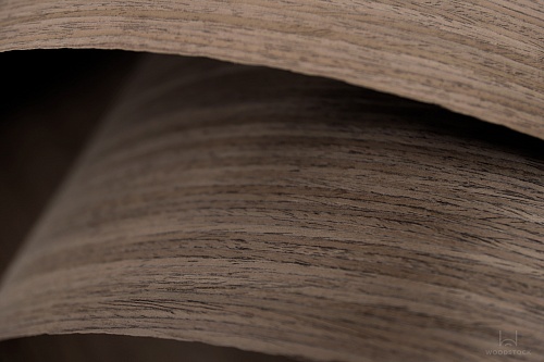 Коллекция ESPRESSO Мультишпон 021C Коллекция ESPRESSO Мультишпон 021C